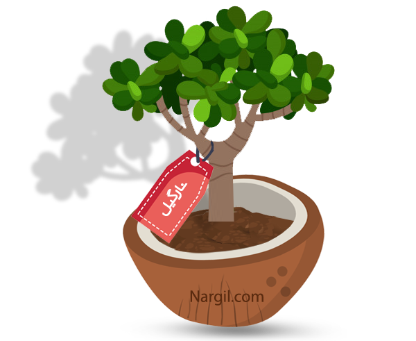  Nargil - Jade Tree